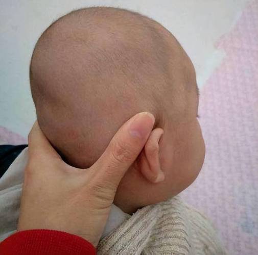 宝宝平头圆头对比照片图片