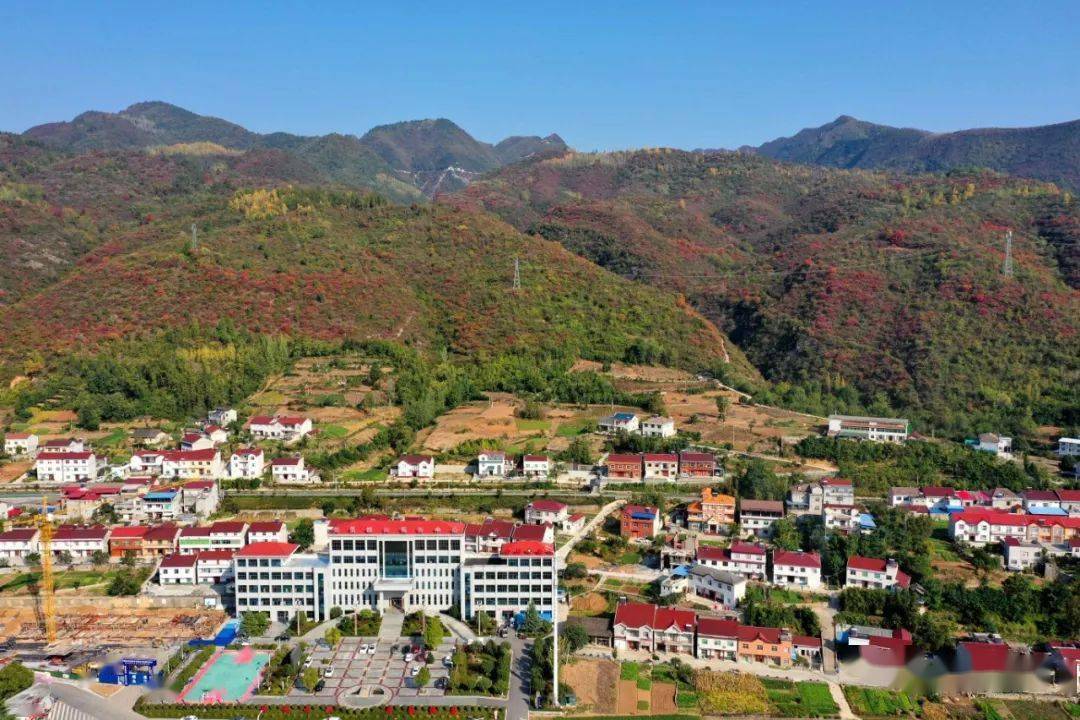 马桥镇:秋韵浓郁,风景如画_姜雪飞_红叶_保康