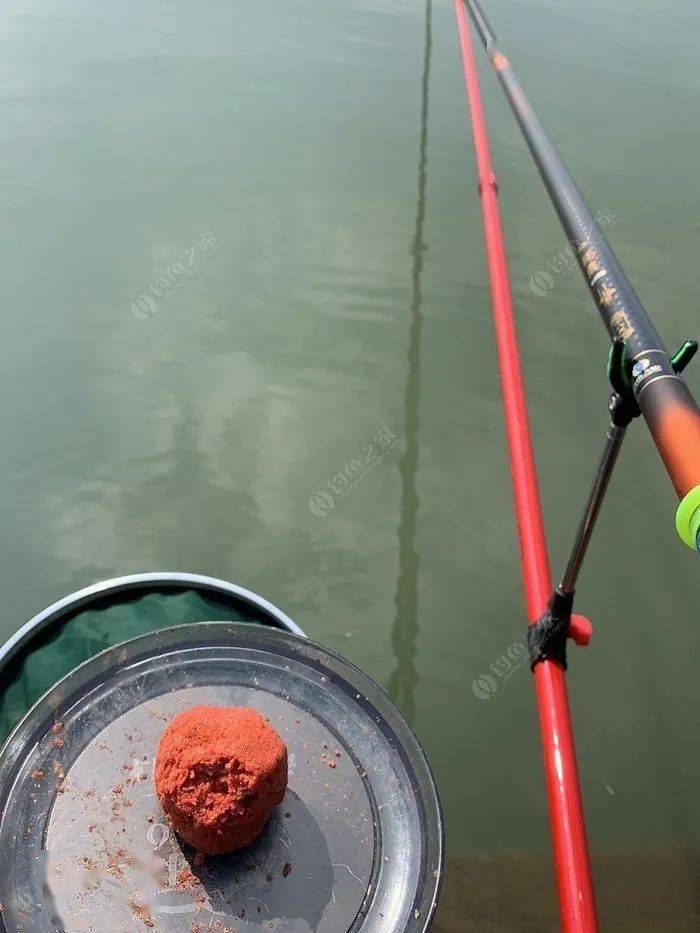 阳澄美景擒花骨鱼,缘来是和你鱼情未了_时间_饵料_因为
