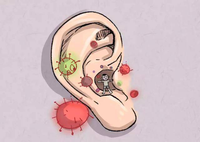 涨知识的科普_耳垢_耳朵_耳道