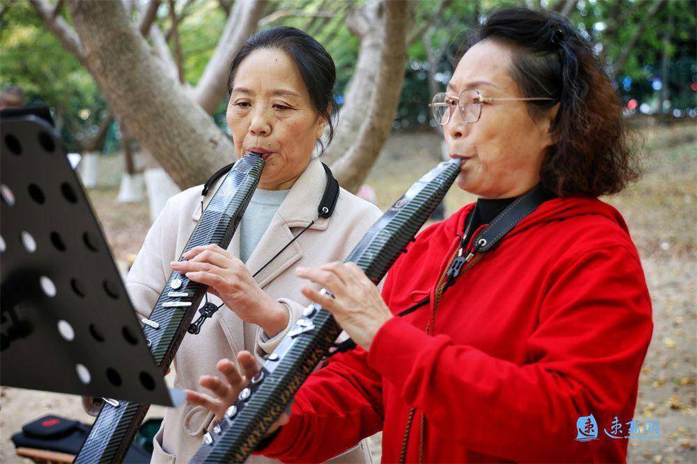 11月3日,沭陽縣虞姬生態園裡,一群老人在排練電吹管,薩克斯,他們個個