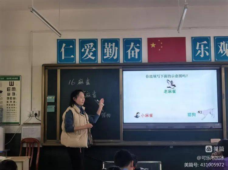 安身“双减”优化课堂 同课异构绽放异彩|顶峰镇张家小学优良课活动纪实