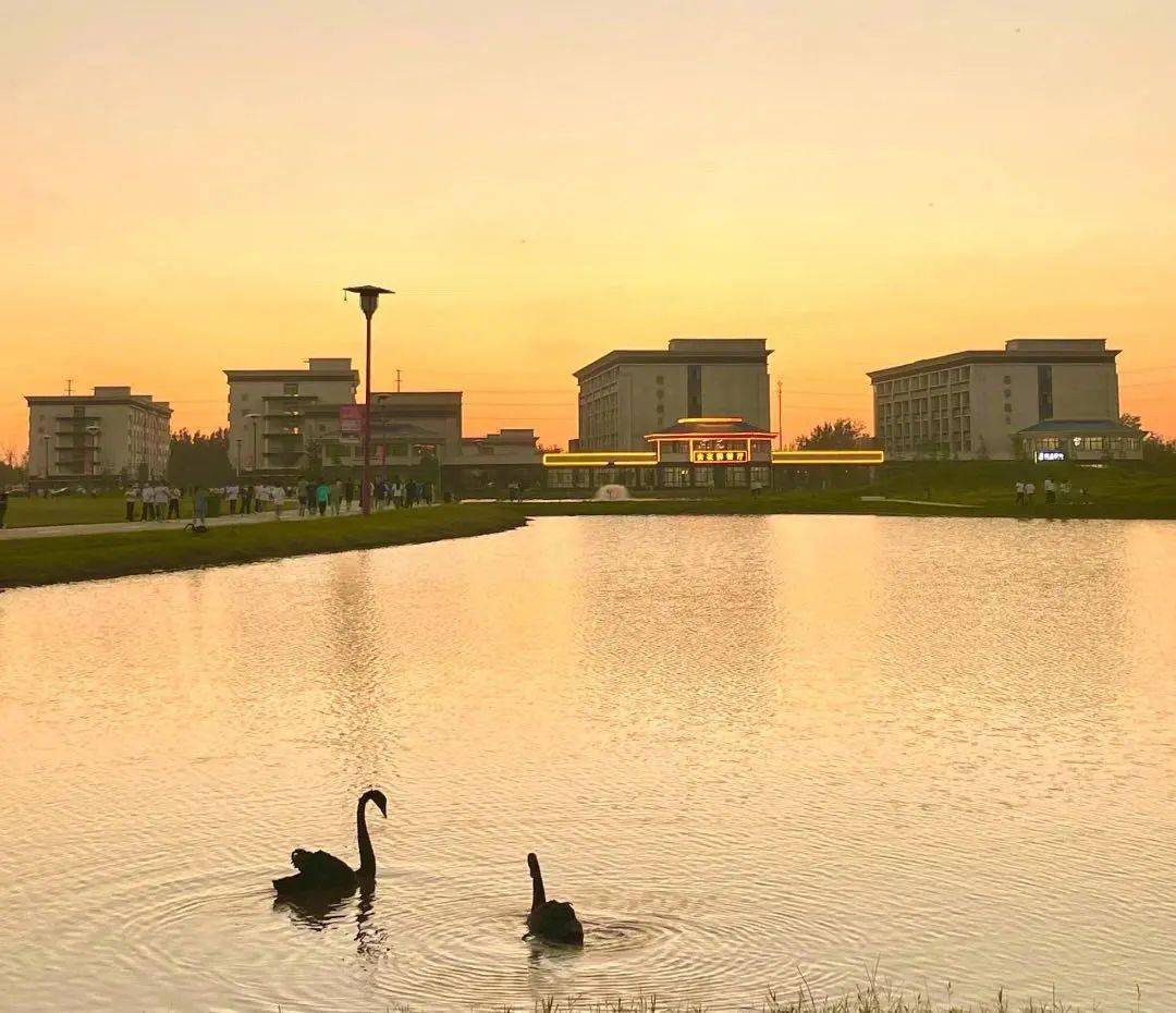 安阳学院原阳校区多大图片