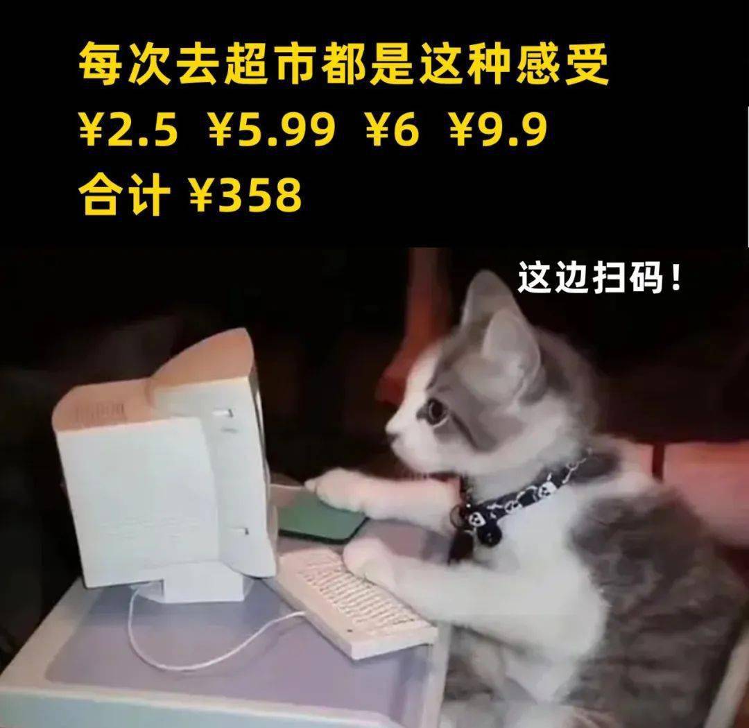 28张猫咪热门梗图,笑到断气哈哈哈哈哈哈_meme_喵君_by