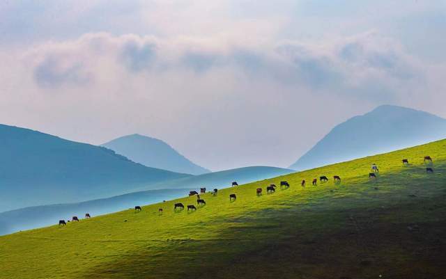 镜头下的大凉山:凉山州成立70周年县市风采——甘洛县