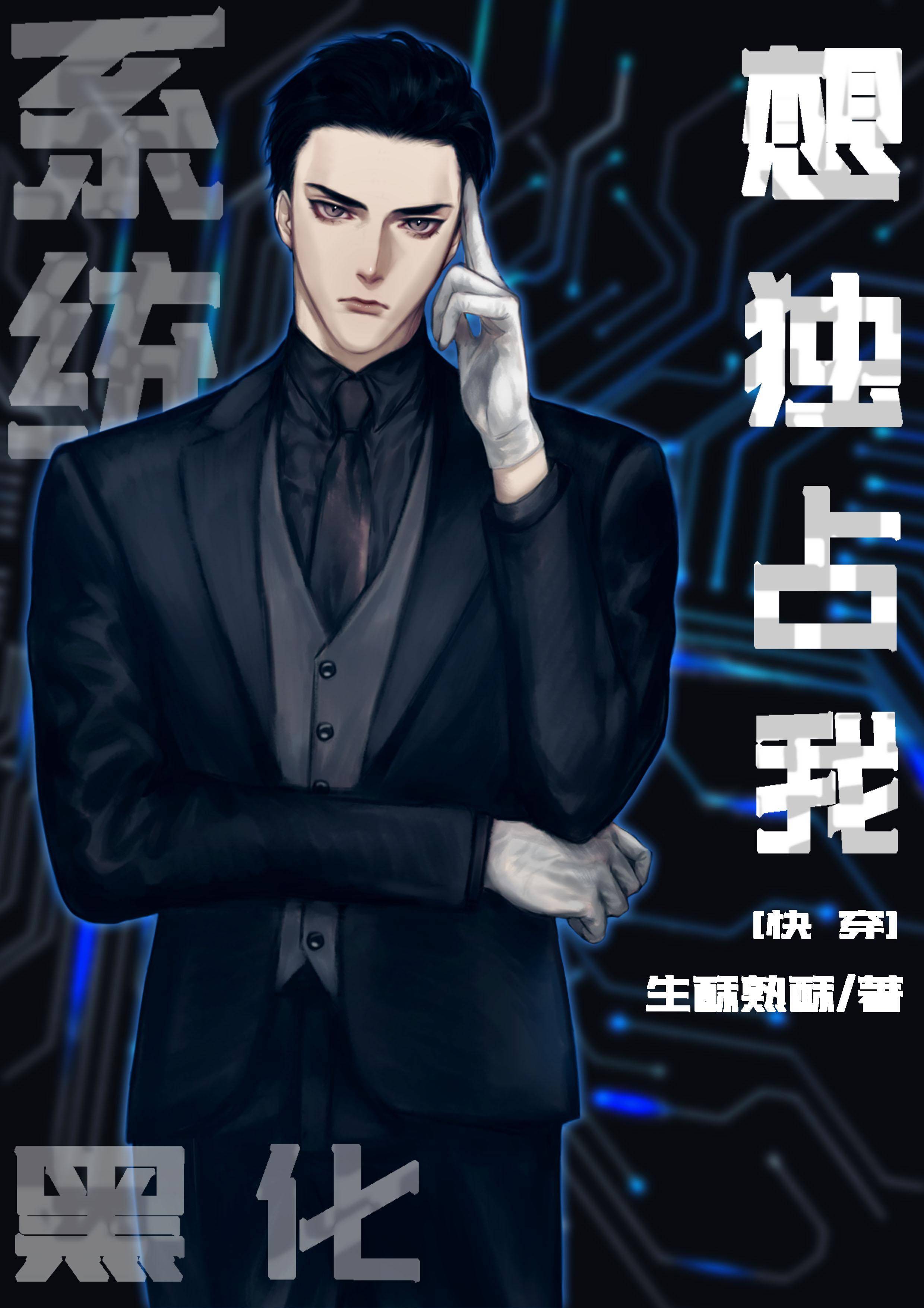官途第二部《登顶》
