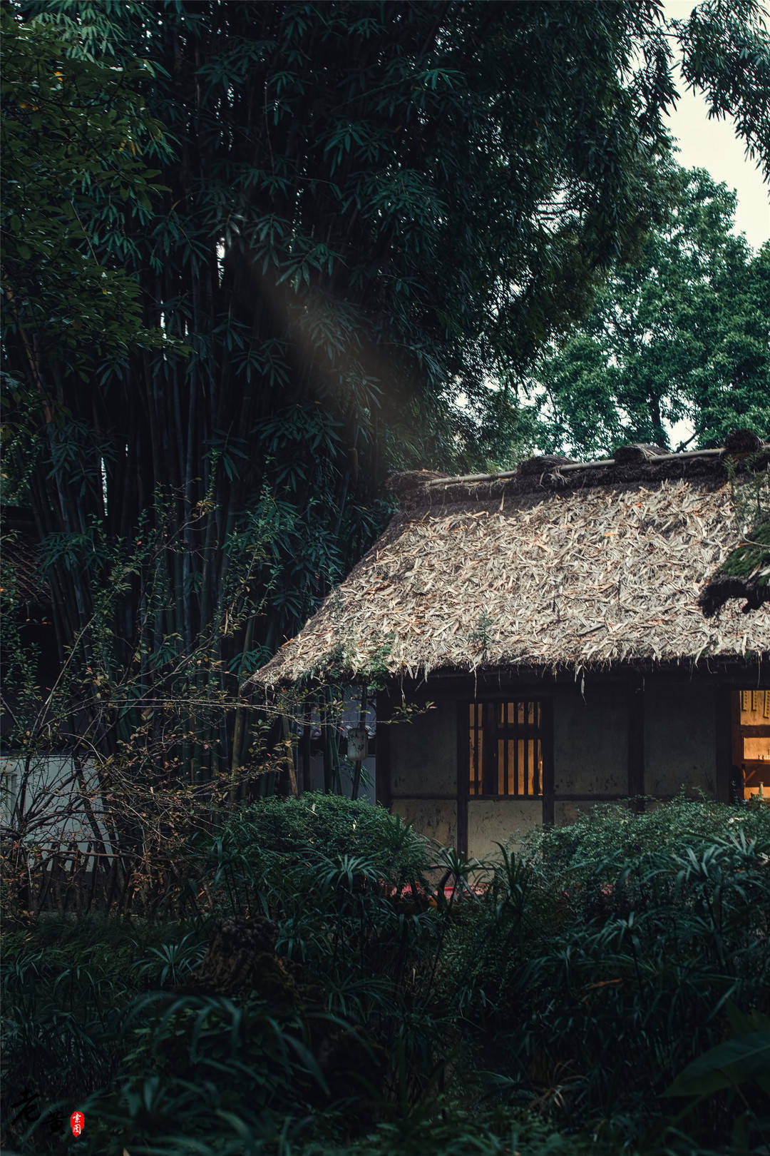 杜甫草堂 茅草屋图片