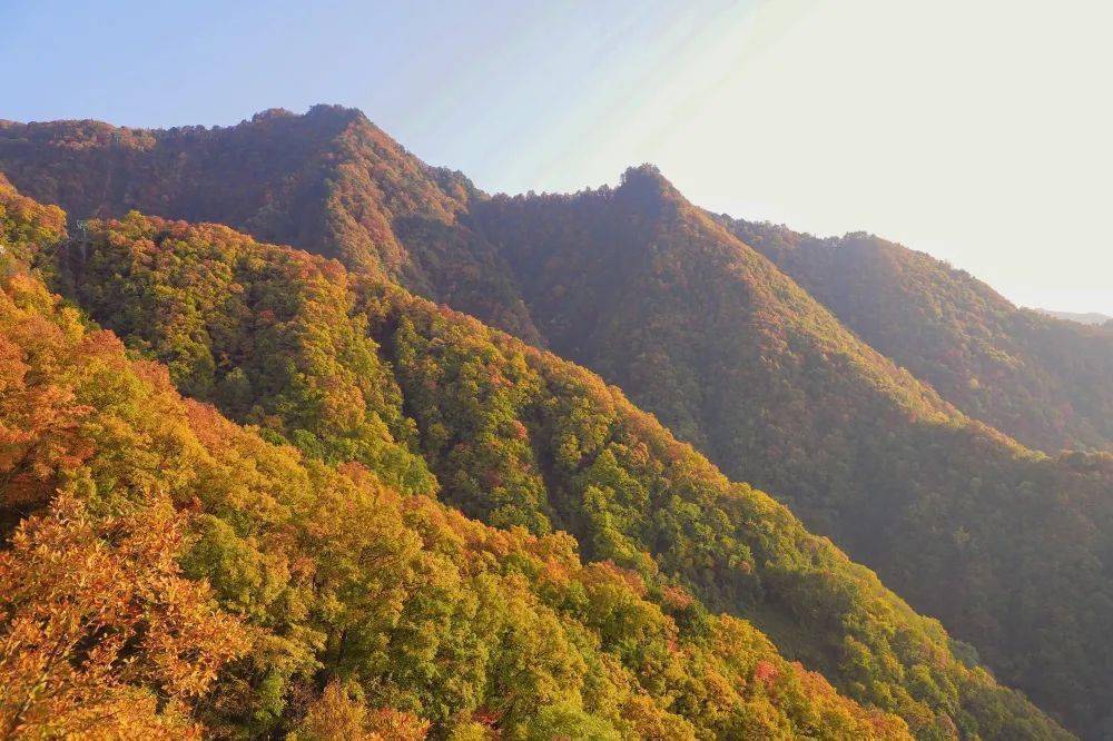 石泉云雾山图片图片