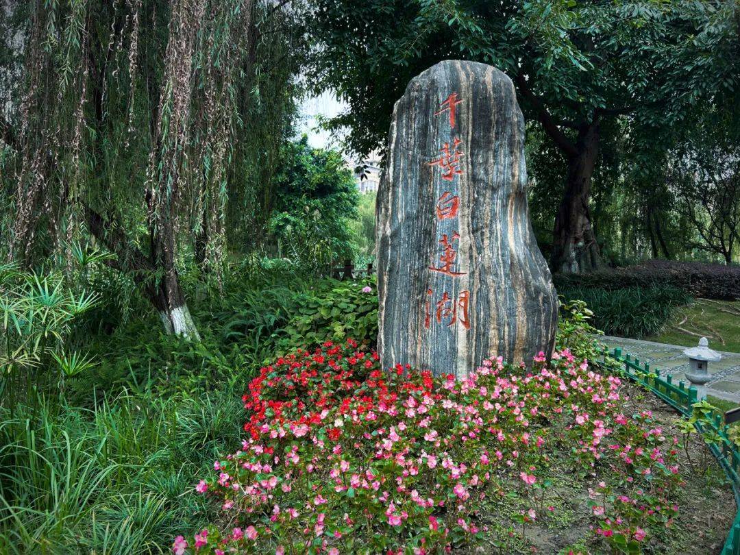 苏园文化考察眉山行:(一)苏辙公园——照水菡萏细细香