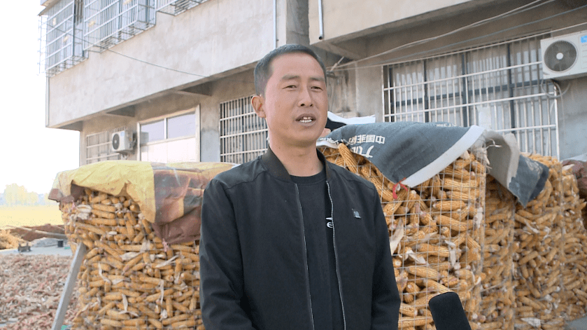 【暖民心 见行动】建设"四好农村路" 迈向致富路_新兴镇_涡阳_公路