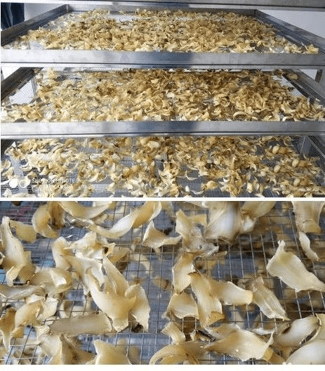 四川华景智农没有什么是"干"不了的——百合烘干篇_鳞片_加工_原料