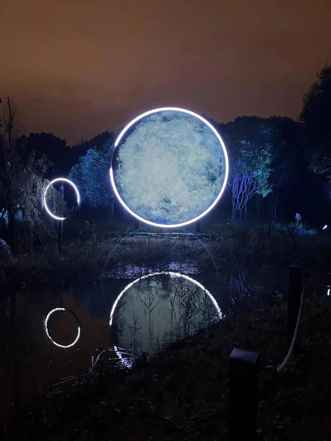 国内首个lumina夜游项目"焕光森林61东方曦望"(oriens lumina)正式