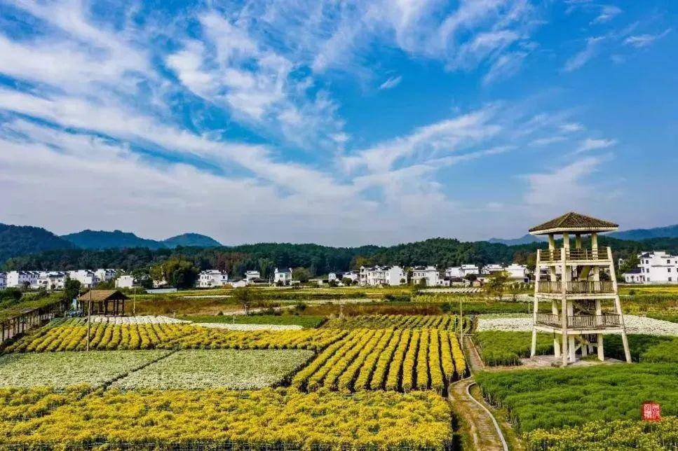 临其境,有如人在海中走盐铺村位于休宁县海阳镇,因紧傍夹溪,横江水系