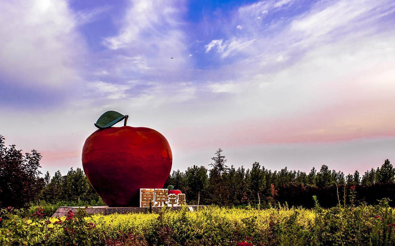 三个运城农业品牌之运城苹果——万荣苹果