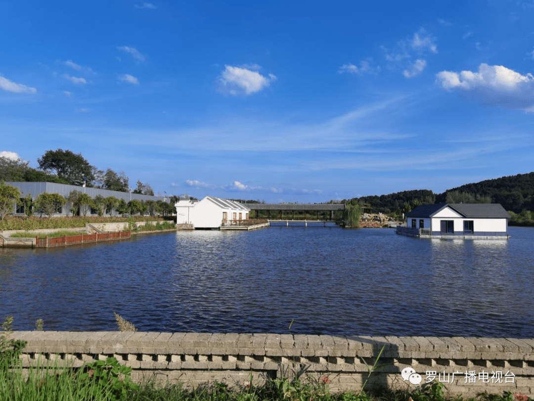 罗山县潘新镇:聚焦特色产业 激活乡村振兴新动能_发展_经济_数字