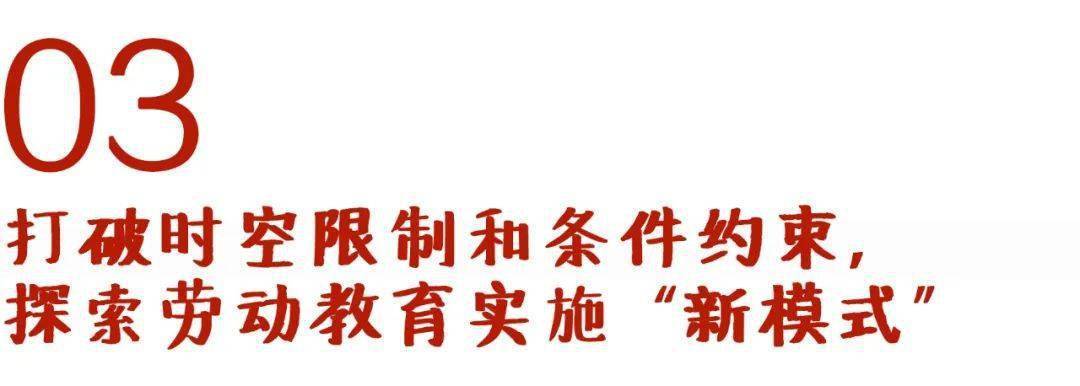 邵明铭、赵丽：数字化教育助推新课标落实落地