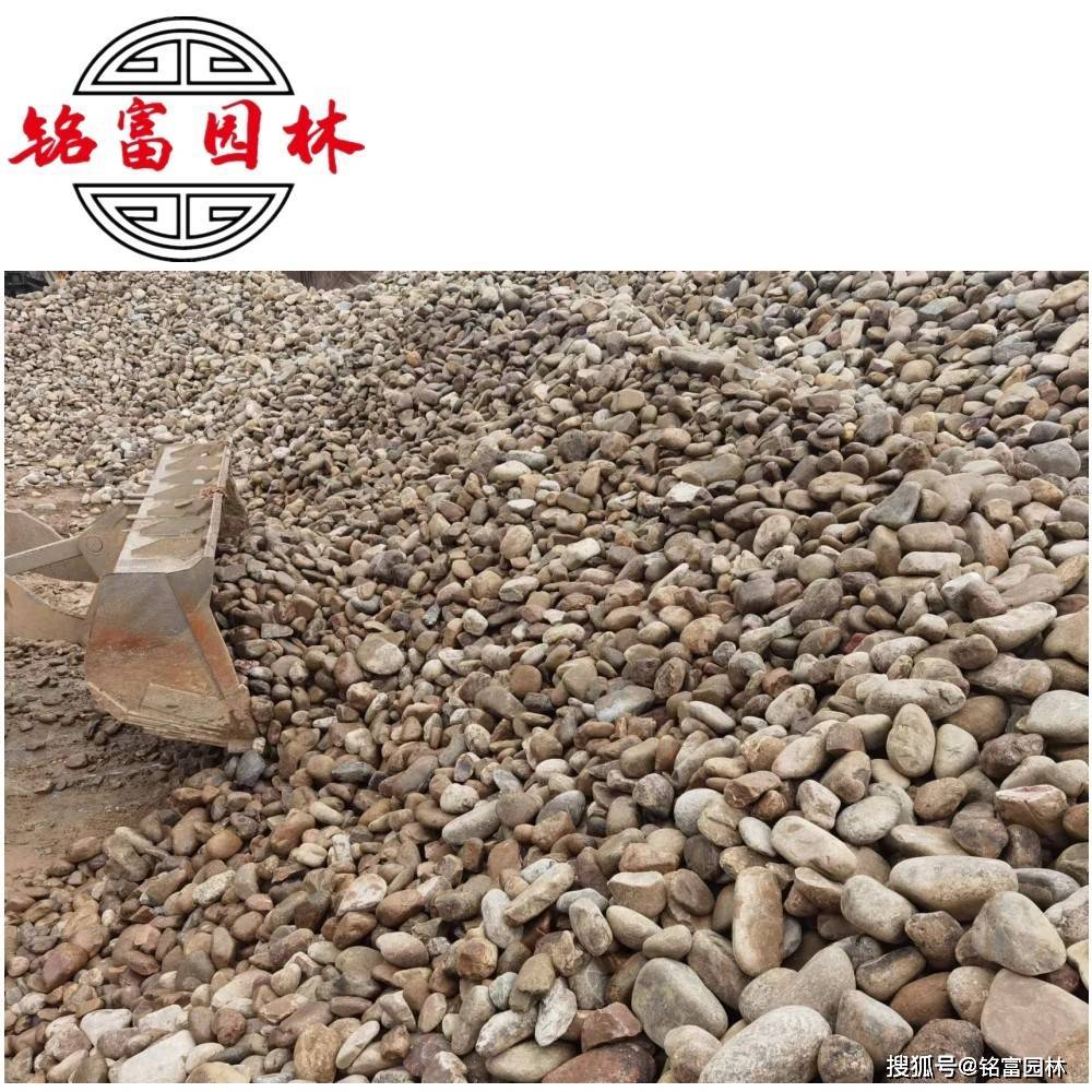 这都可以（鹅卵石价格厂家直销）这种鹅卵石一般多少钱鹅卵石价格，(图1)