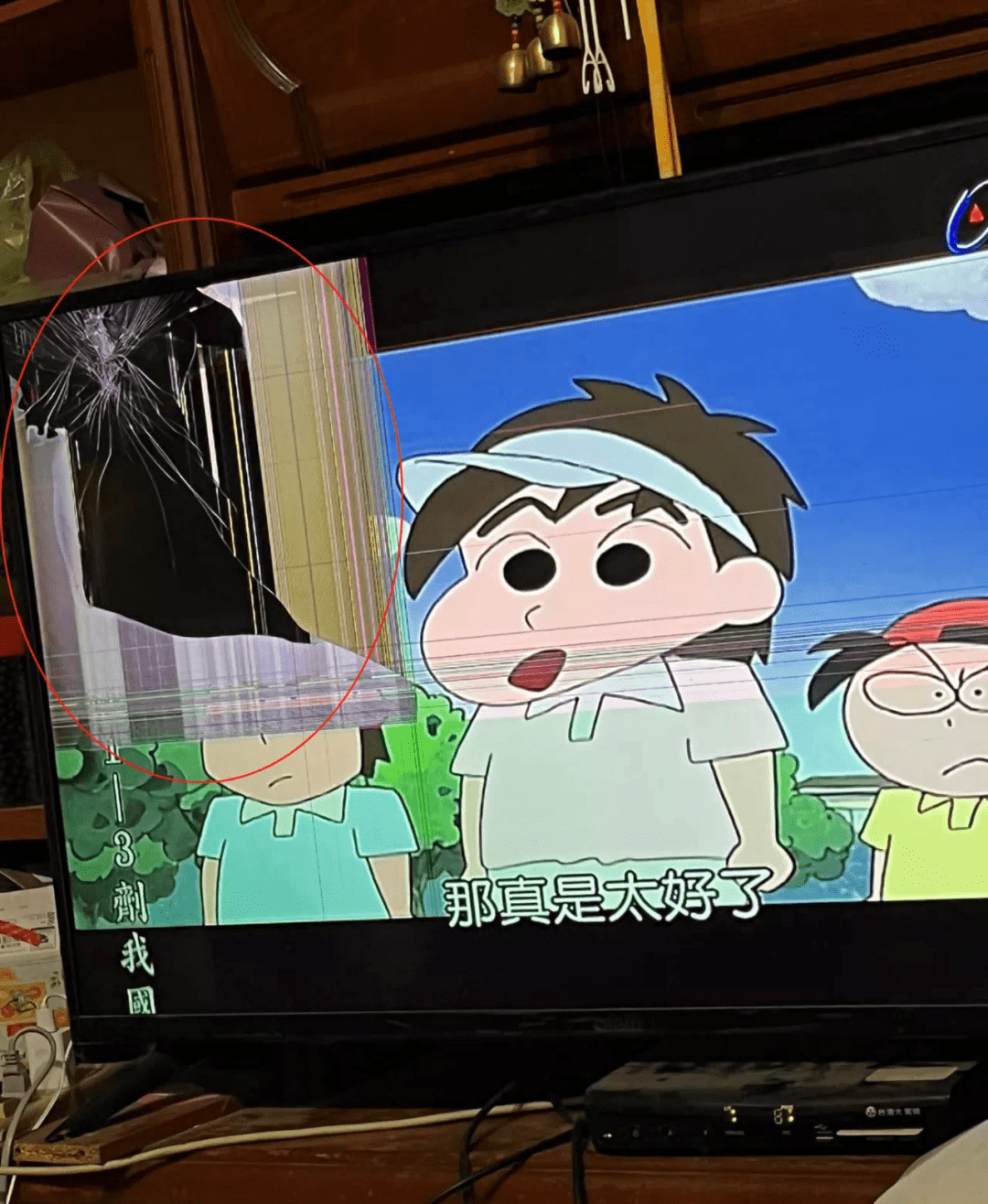 猫把电视摔坏了,又买了一台,送货小哥笑称:业绩全靠猫!