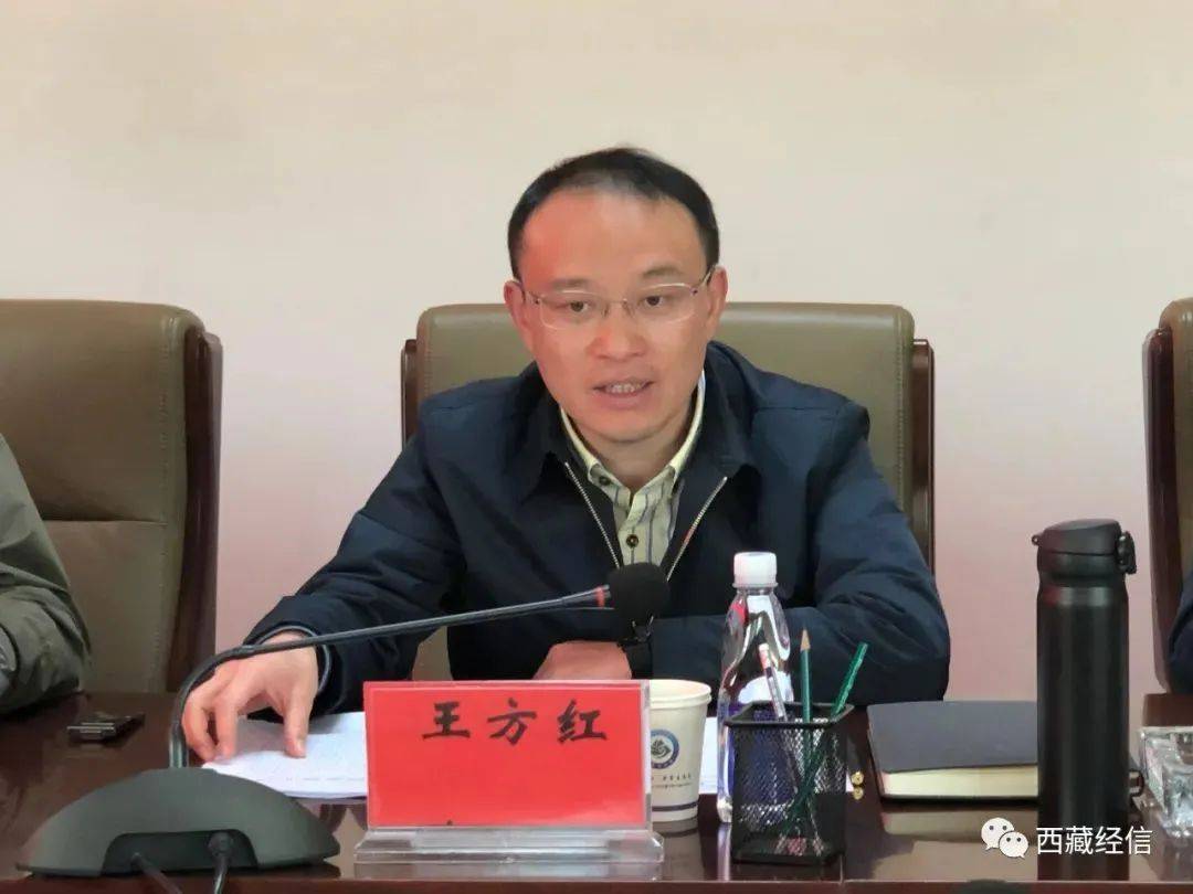 王方红任日喀则市委副书记,提名为市长候选人_西藏自治区_综合_广西