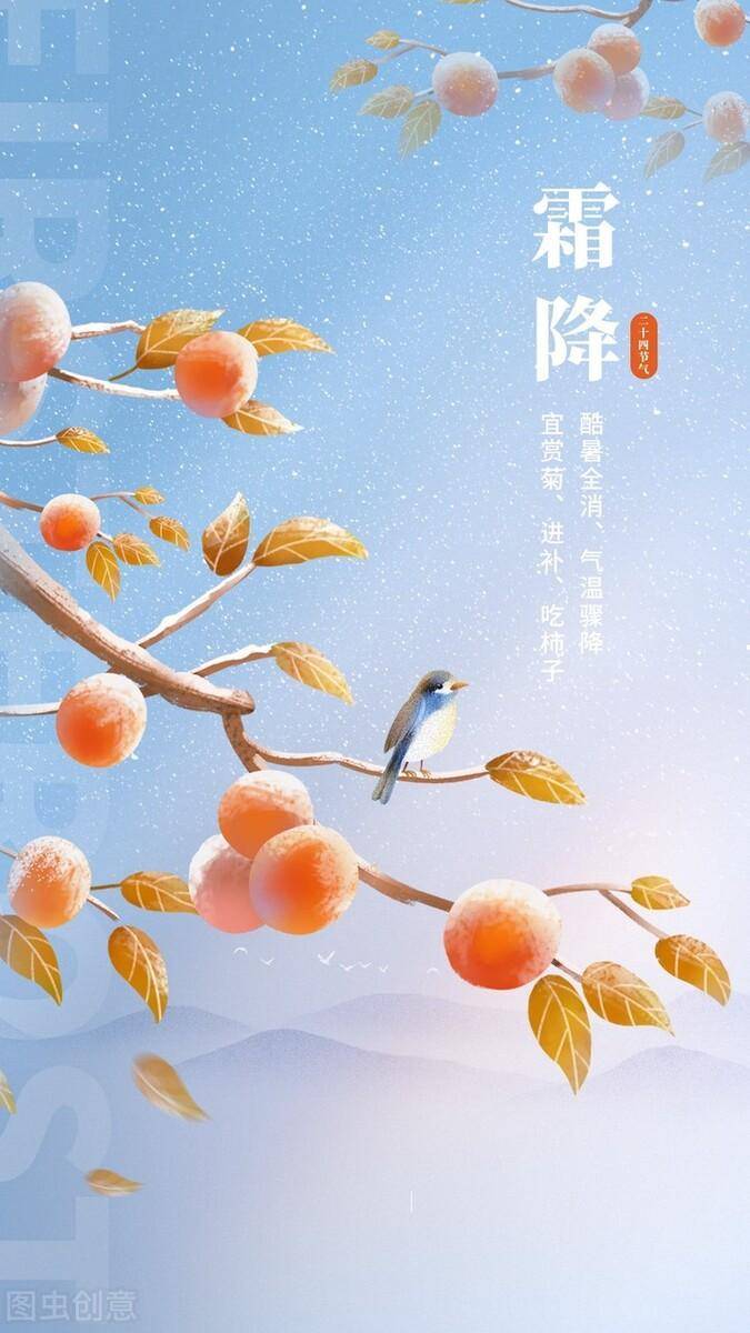 霜降：风一朝冷，露一夜寒，愿日子，朝暮晨昏，愿生活，可风可月