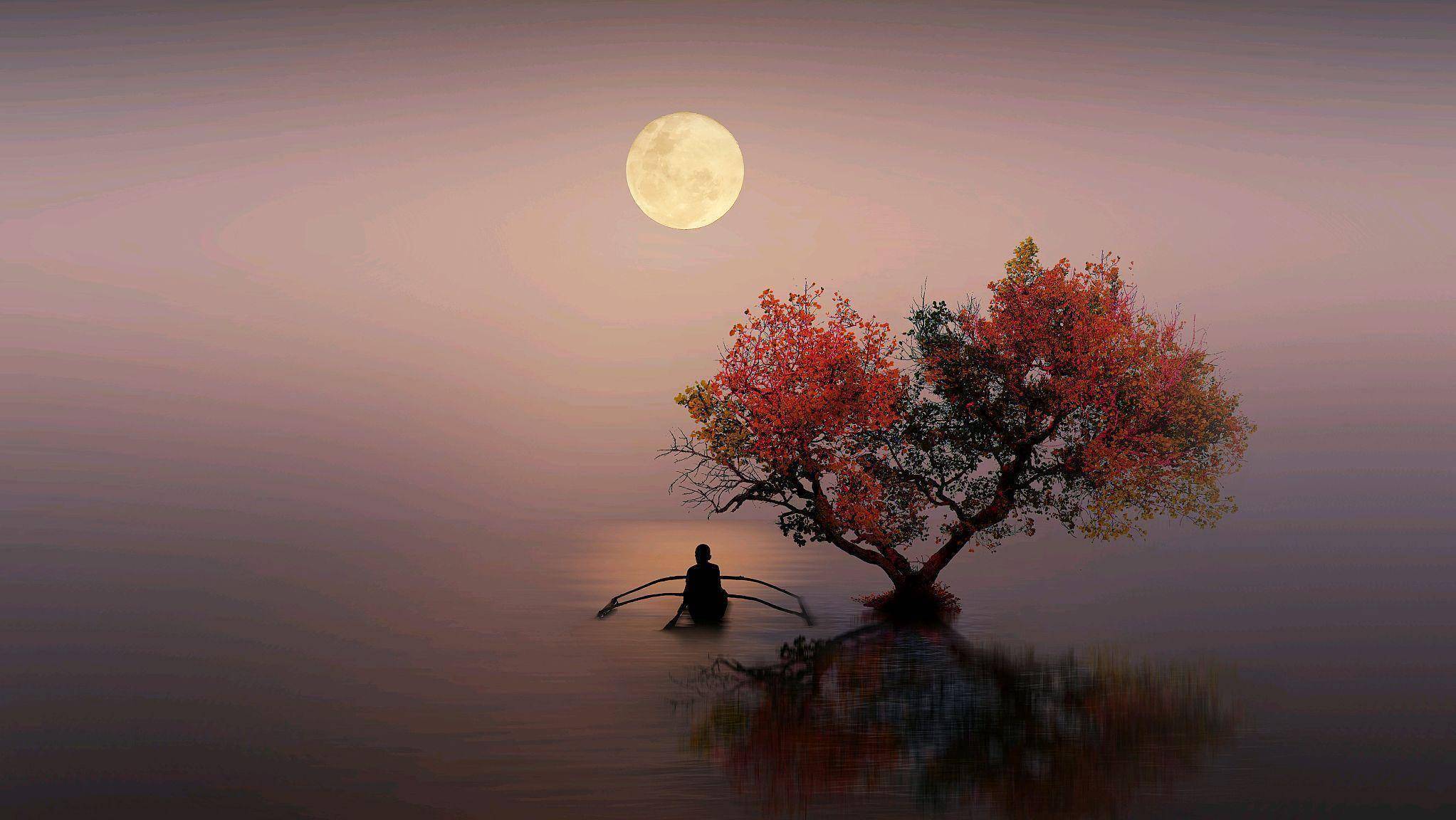 孟浩然望月抒怀写下一诗,意境凄美,宛如一幅别样的孤清月夜图