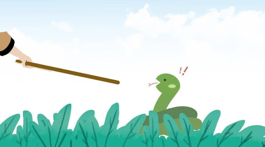 黔江惠耳助听器与您分享:打草惊蛇是因为蛇有耳朵吗?_传播_声音_内耳