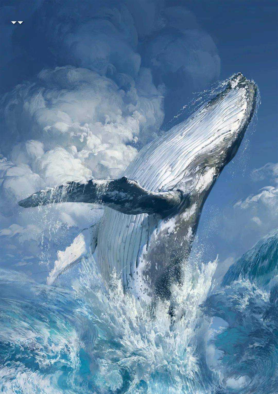 塞尔达巨鲸化石如何画图片