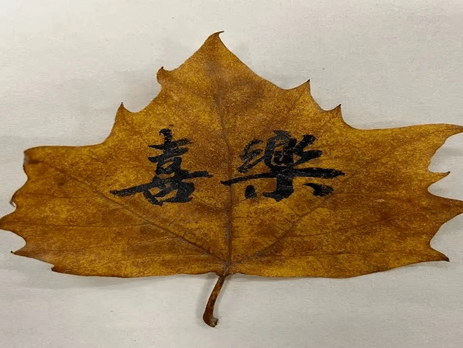 当树叶遇上书法,太美了!