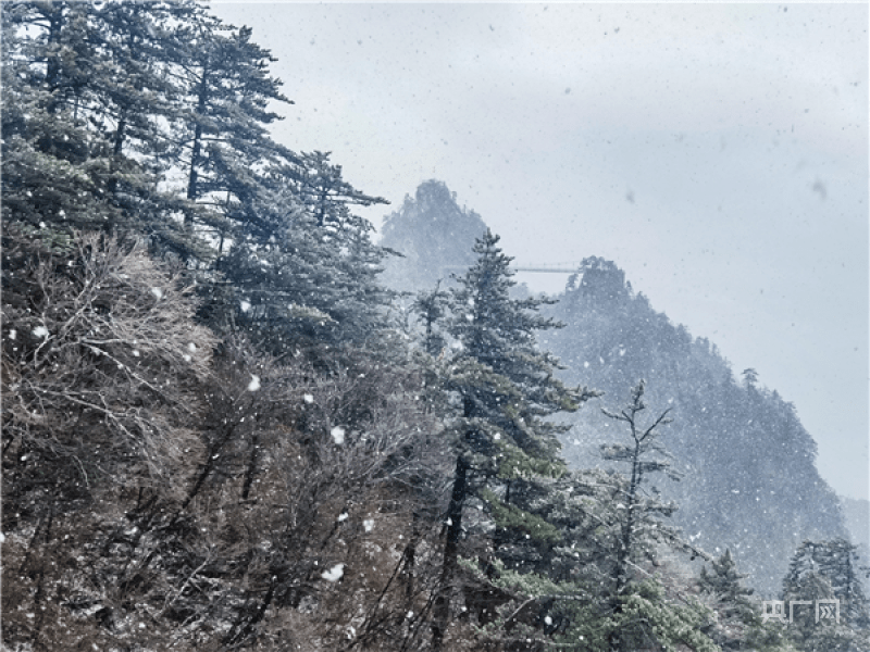 河南南阳老界岭迎来入冬后的第一场雪