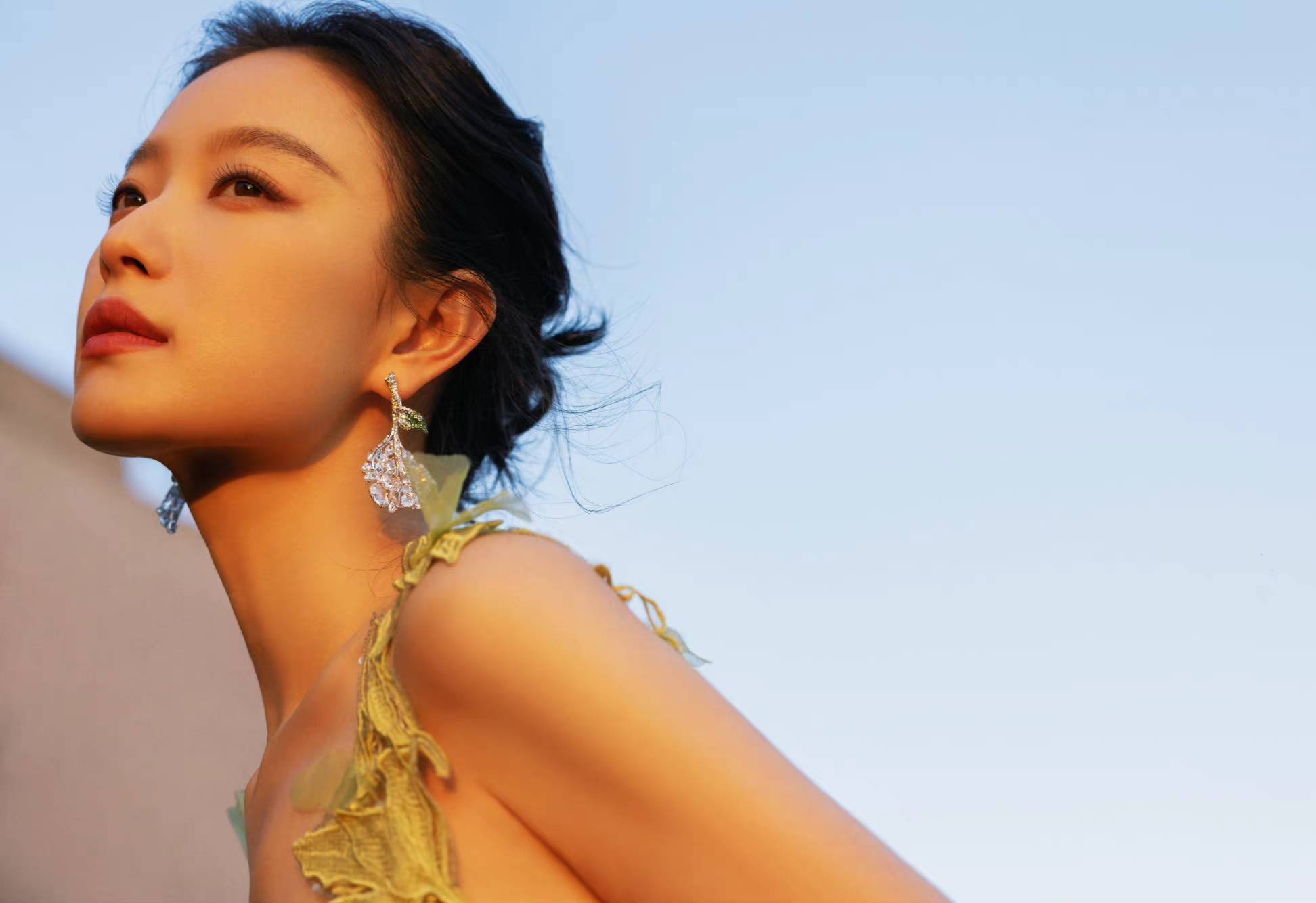 金鸡奖造型比拼:杨颖倪妮秀美背,柳岩身材傲人,高圆圆却更迷人_自然