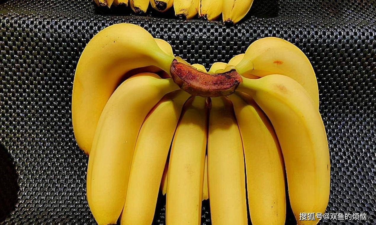 如何避免"激素香蕉"?水果店老板:遇到高手_时间_气味_颜色
