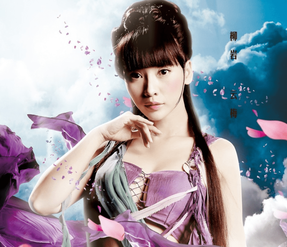 柳岩出演了《画壁》,《四大名捕2》,《少帅》等影视作品.