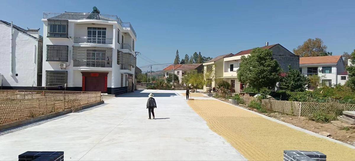 11月11日,在黄梅县杉木乡蒋咀村丰收广场,村民将收割后的稻谷搬运到