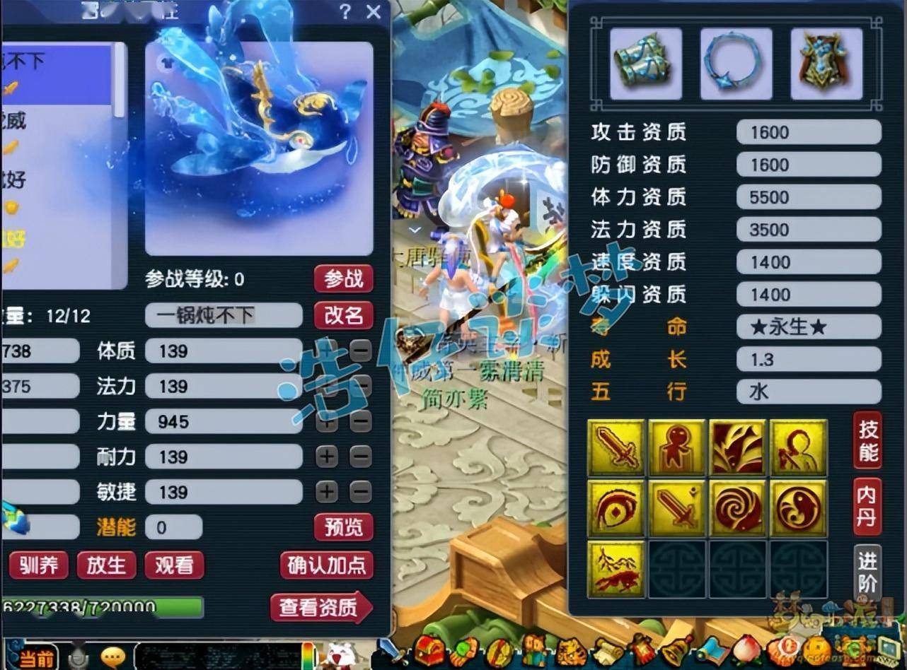 梦幻西游:109唯一可以秒10的门派,全服第一东海渊,6件无级别_技能