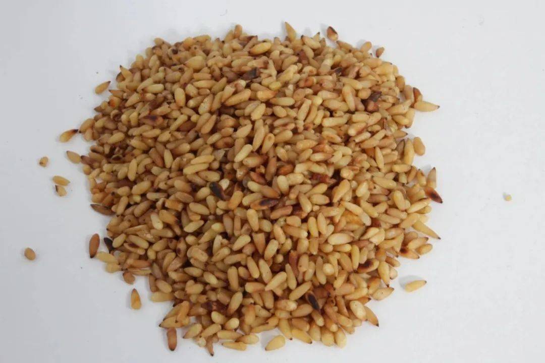 中药介绍 | 生发乌发的好药,洗头就好使!_侧柏_头发_柏叶