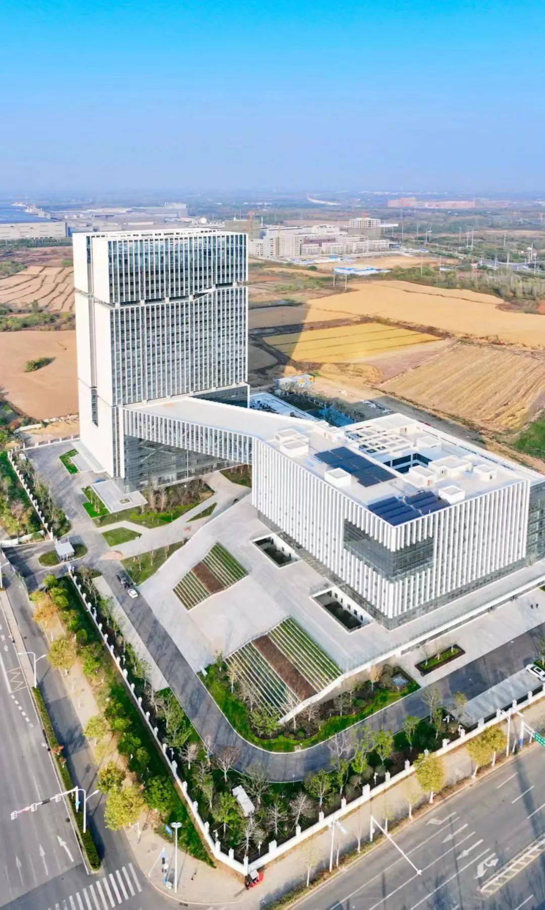 合肥又添一科创地标!_项目_大厦_产业