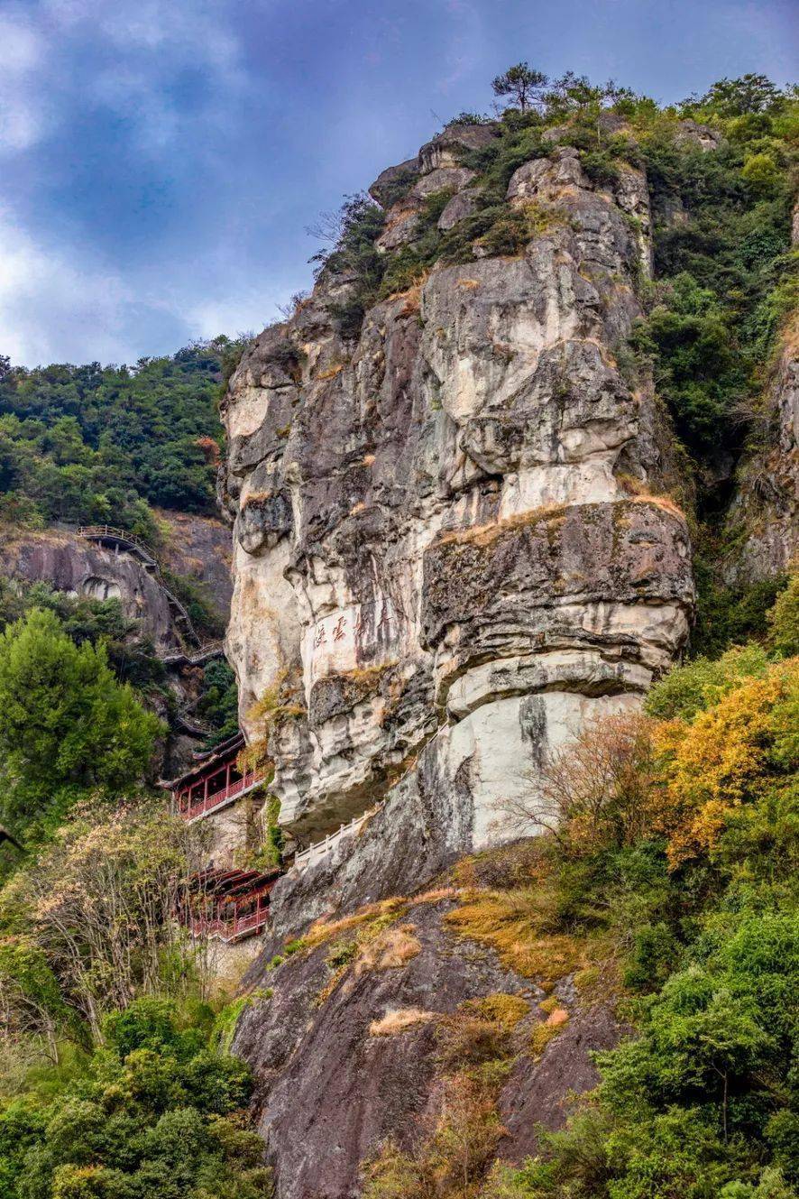 杏会大慈岩|银杏节将至,金丽衢赣免门票政策来啦!_活动_直播_建德
