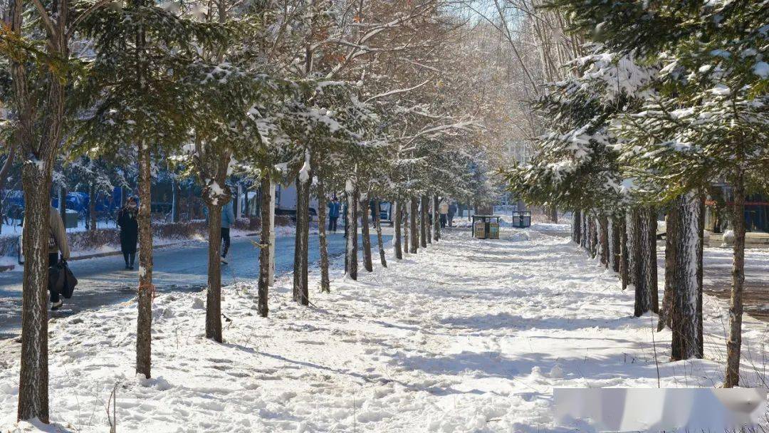 吉林工商学院雪景图片