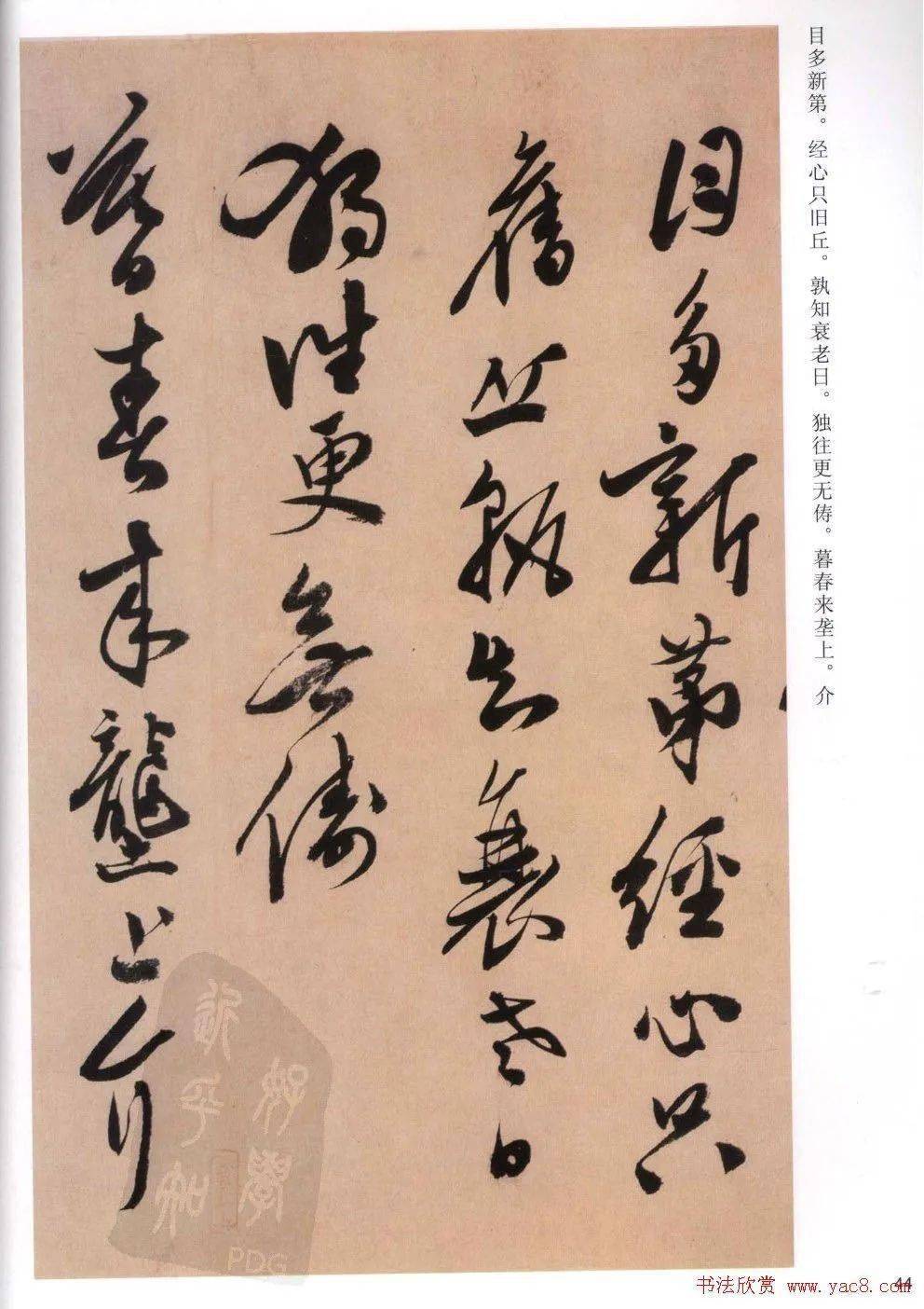 陈道复书法《白阳山诗》率意纵笔,稳健老成_cm_陈淳晚_纸本