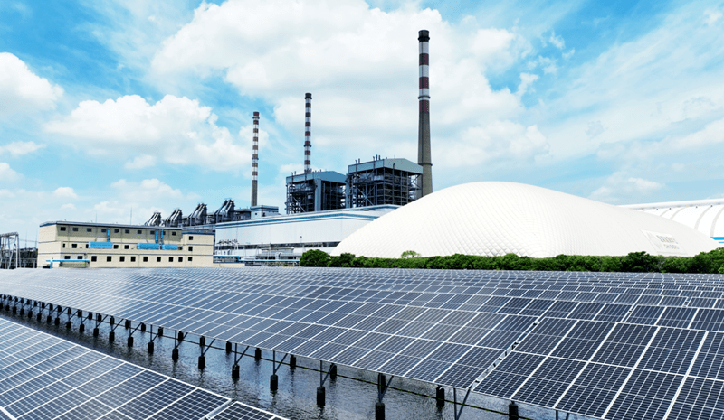 临港头条|苏龙热电:绿色发展结硕果 大风起兮再远航_企业_投资_能源