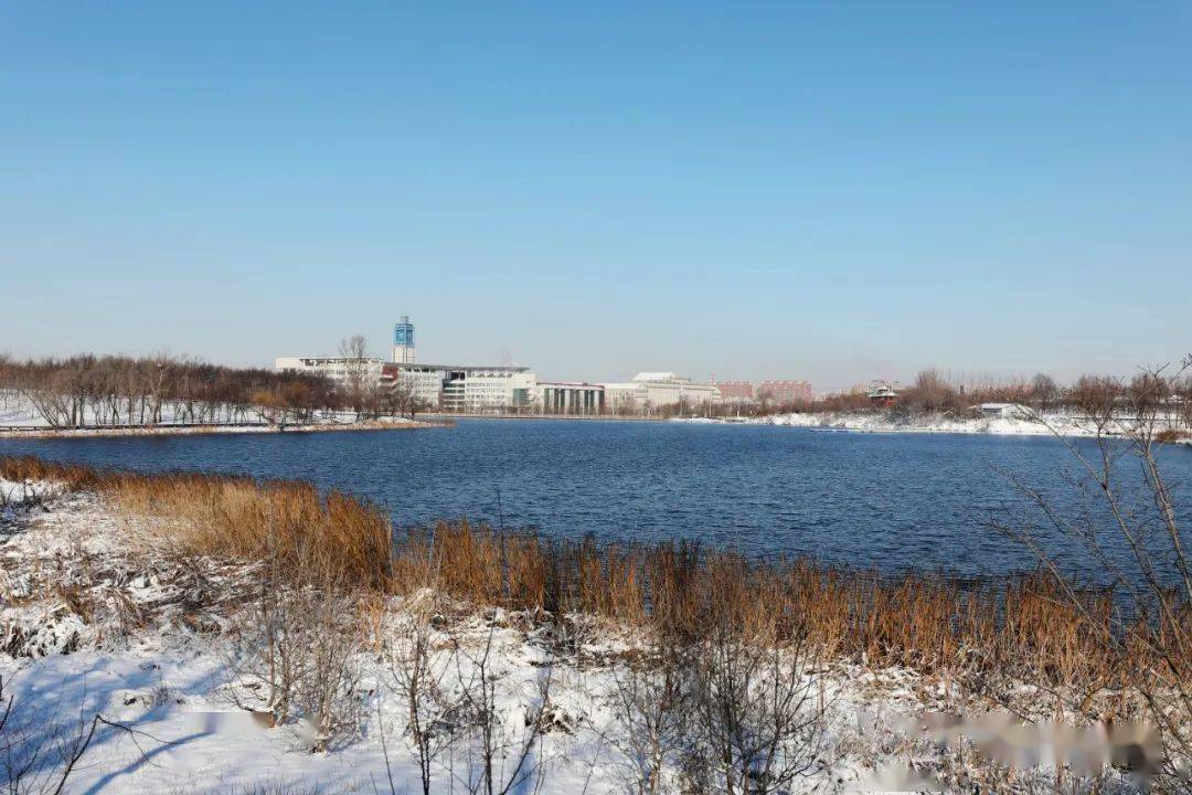 长春理工大学雪景图片