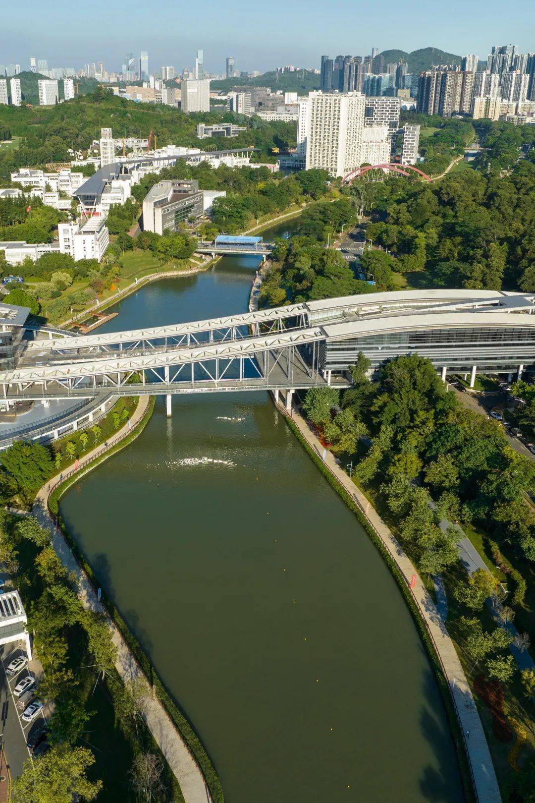 在西丽湖,有一种色彩叫"不止青绿"