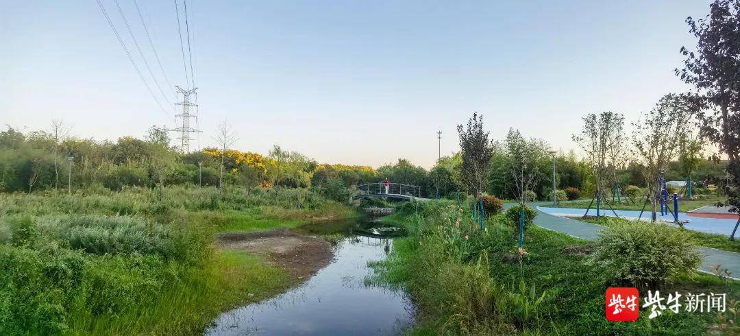 南京市江宁西宁社区小微湿地助力乡村人居生态环境建设_场地_场所