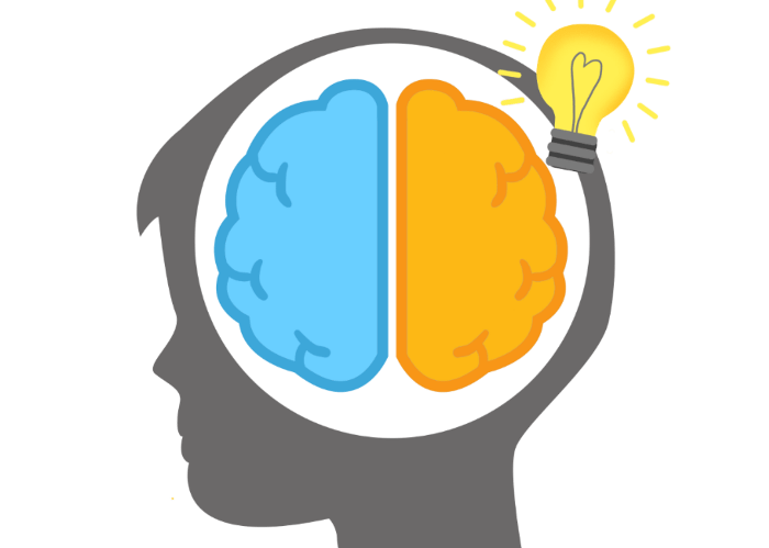 说一个人聪明就说他脑子好,要想责骂一个人,就说人家没带脑子……总之