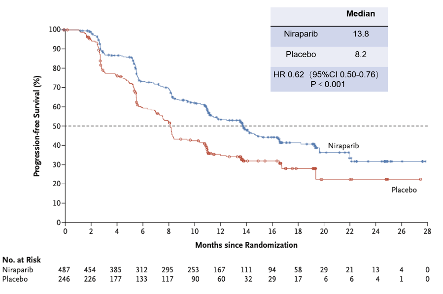 4 表搞懂：卵巢癌一线维持治疗新进展与治疗策略_患者_化疗_临床