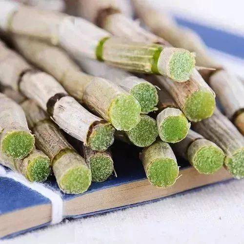 这种草是胃病者的"福音",好多人都被它治好了!_铁皮_肠胃_功效