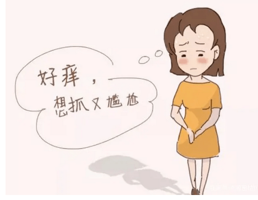 治疗外阴瘙痒小妙招图片