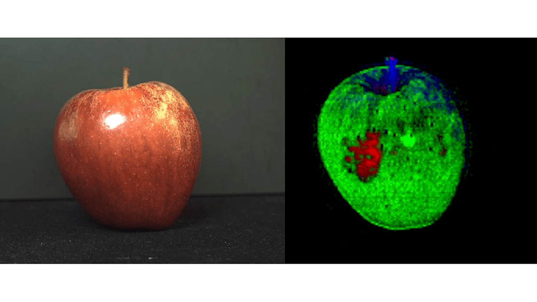 简析机器视觉中不同波长的成像应用_镜头_传感器_相机