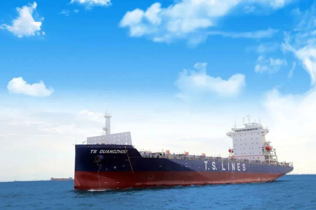 黄埔文冲为德翔海运建造的1900TEU系列船5#船命名交付！_手机搜狐网