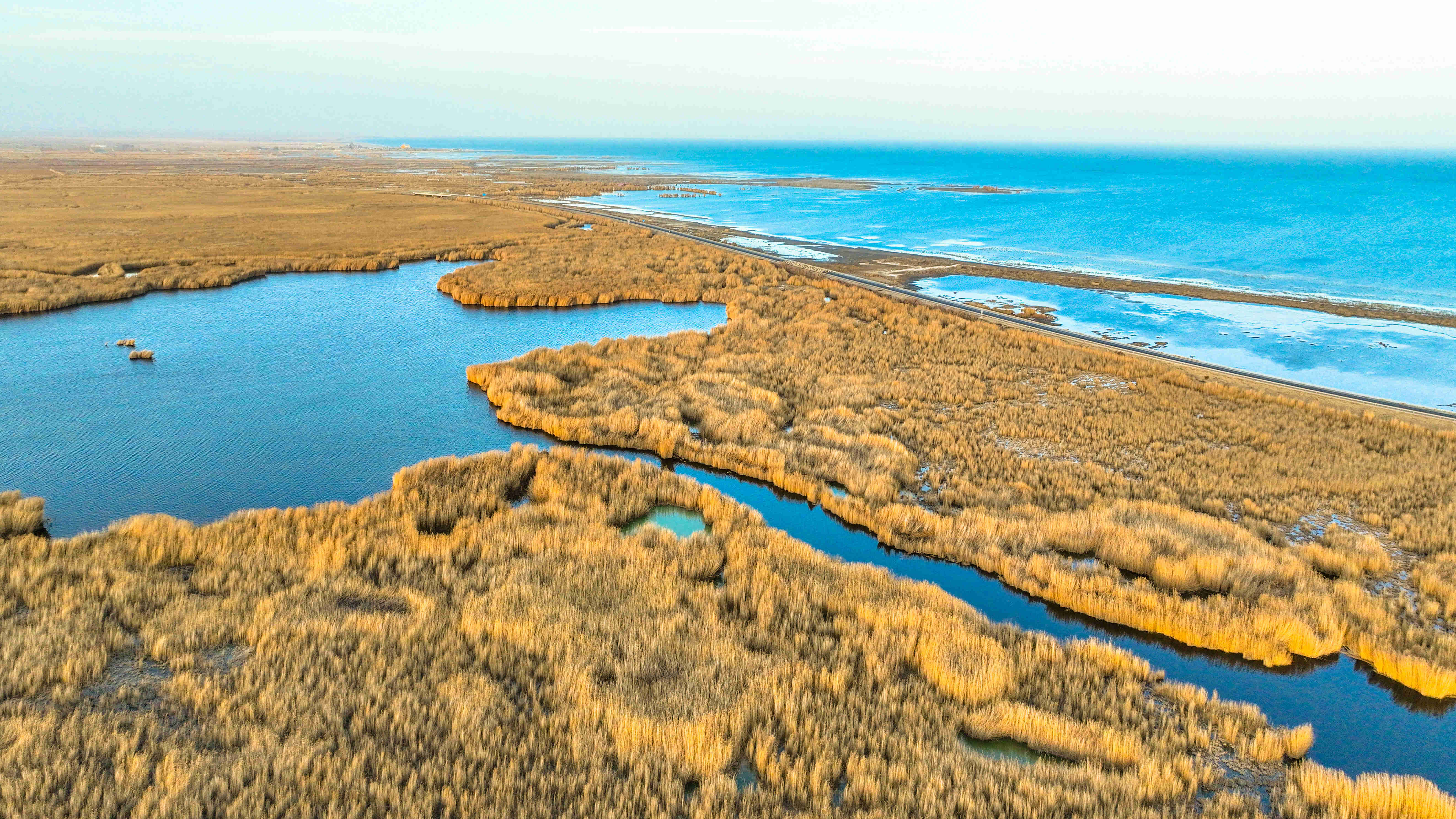 博斯腾湖:天蓝水清芦苇黄